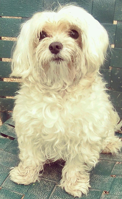 Sophie