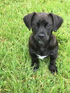 Tucker