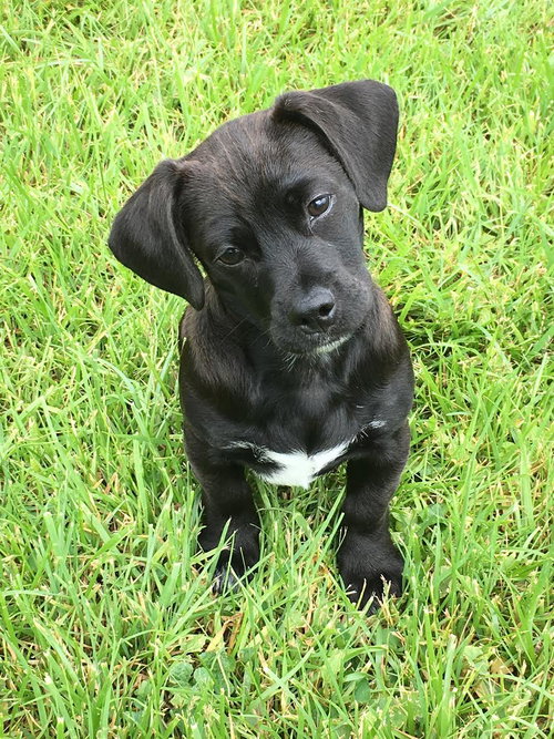 Tucker