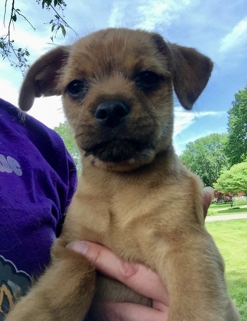 Oscar