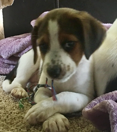 Lucy