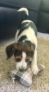 Lucy