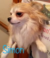 Simon
