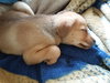 Charlie