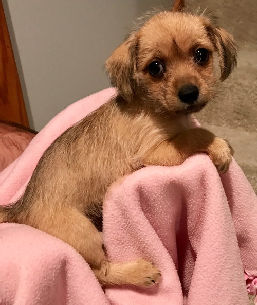 Luna