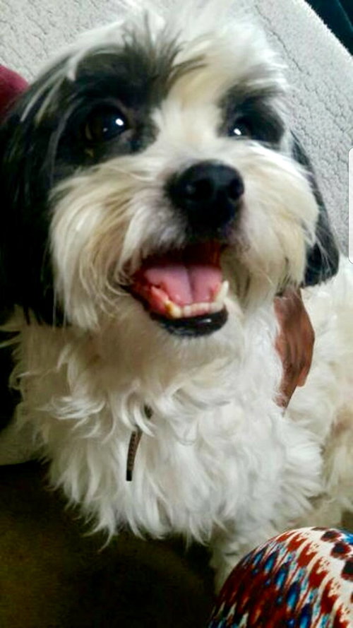 Cosmo