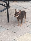 Mya