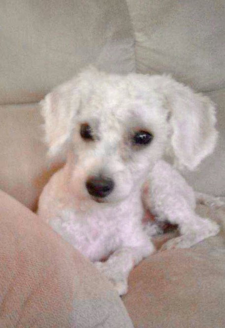 Casper