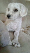 Casper