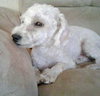 Casper