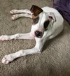Axle