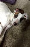 Axle