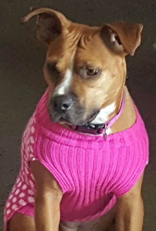 Annabelle