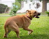Molly