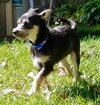 Zoey