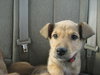 Lucy