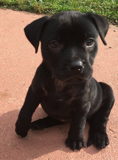 Winnie