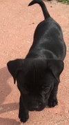 Winnie
