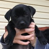 Winnie