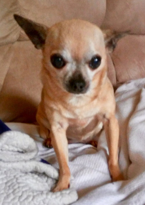Lizzy