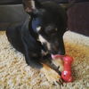 Corky
