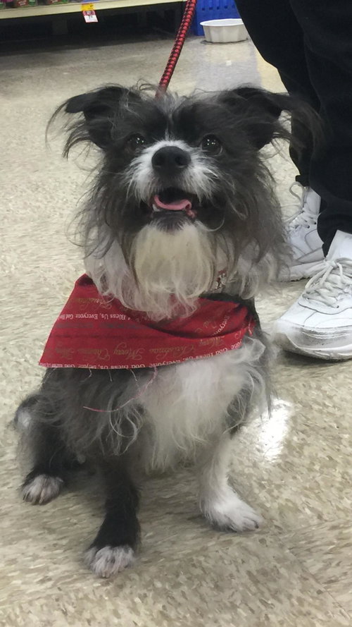 Lexi