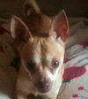 George
