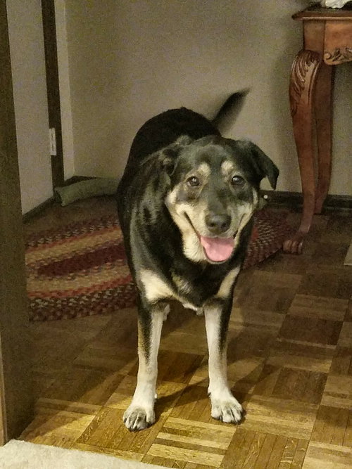 Daisy Mae