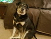Daisy Mae