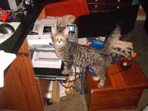 Tigger