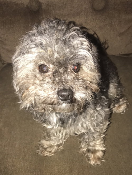 Tucker