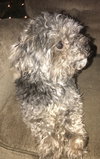Tucker
