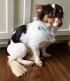Milo