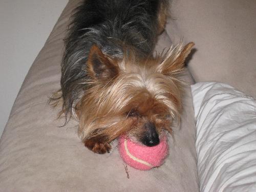 Tuffy