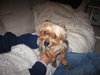 Tuffy