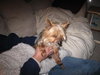 Tuffy