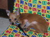 Rusty