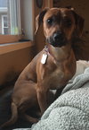 Sophie