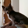 Molly