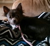 Molly