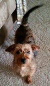 Rusty