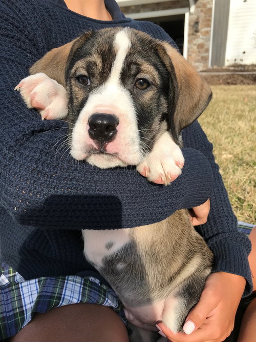 Tucker
