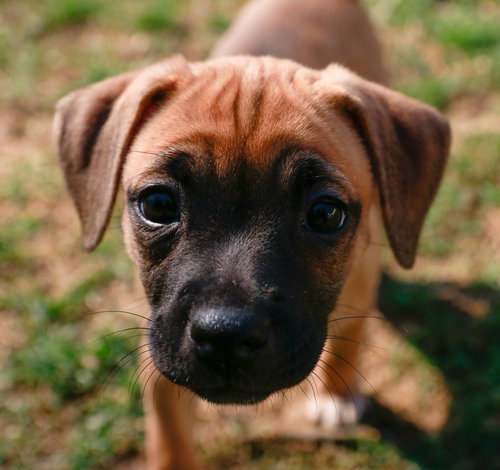 Charlie