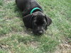 Murdock