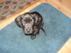 Murdock