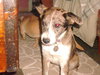 Chloe