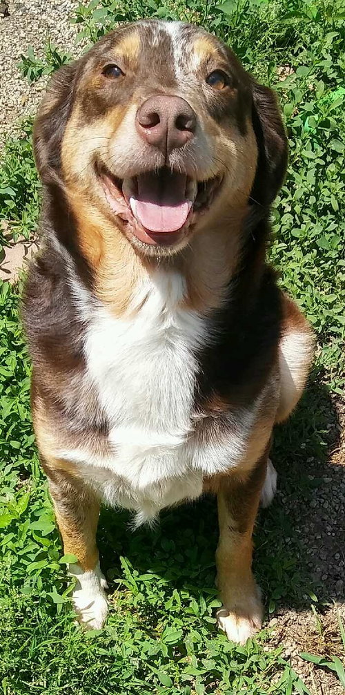Copper