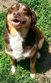 Copper