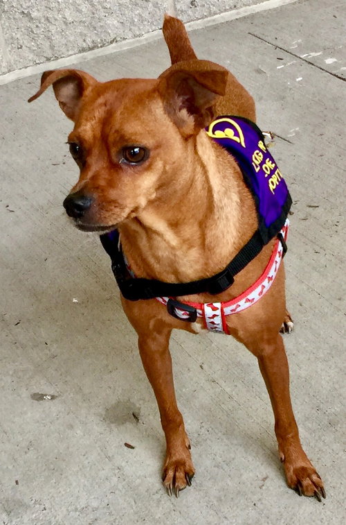 Toby