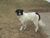 Roxy